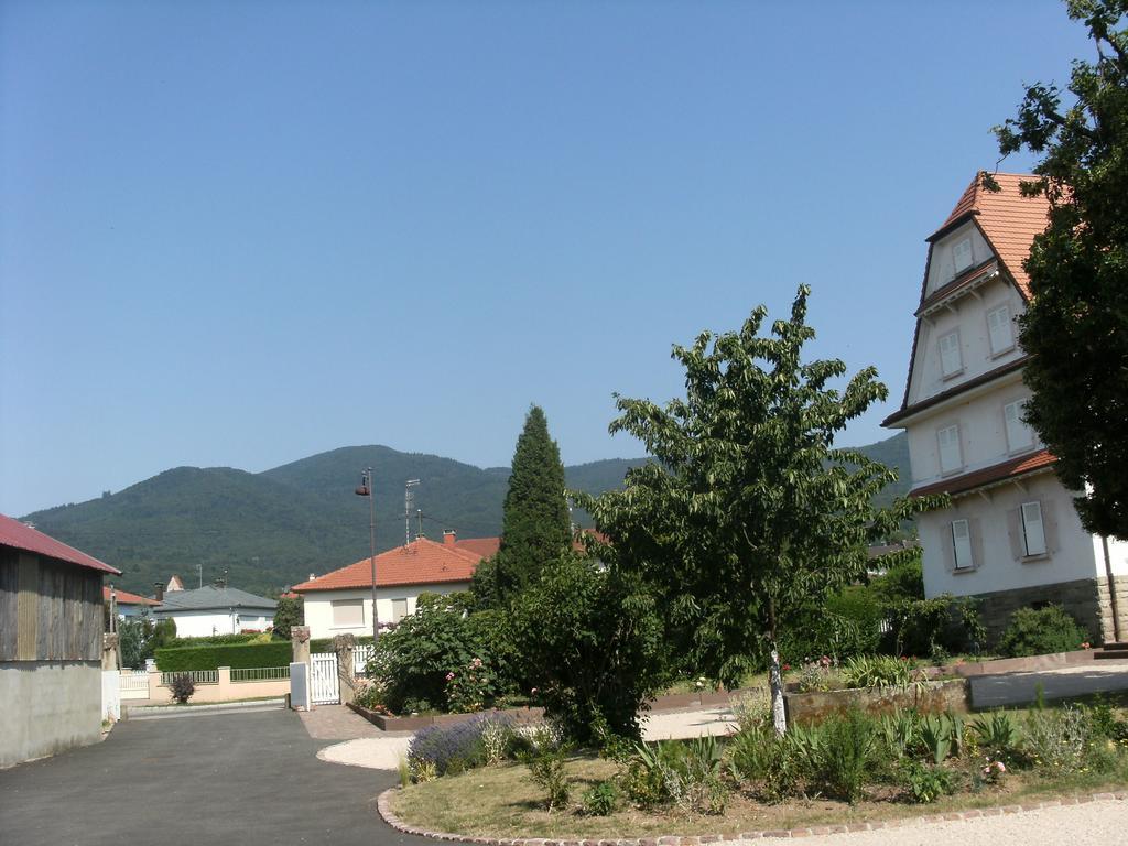Gite Des Alisiers Wattwiller Экстерьер фото